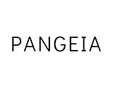 Ver todos cupons de desconto de Pangeia 96